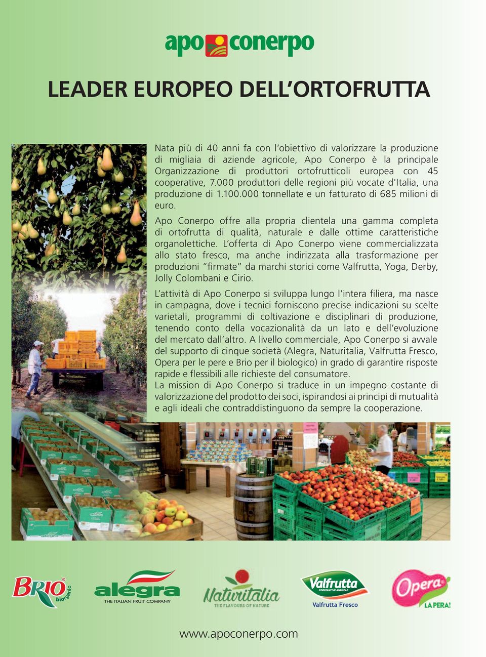 Apo Conerpo offre alla propria clientela una gamma completa di ortofrutta di qualità, naturale e dalle ottime caratteristiche organolettiche.