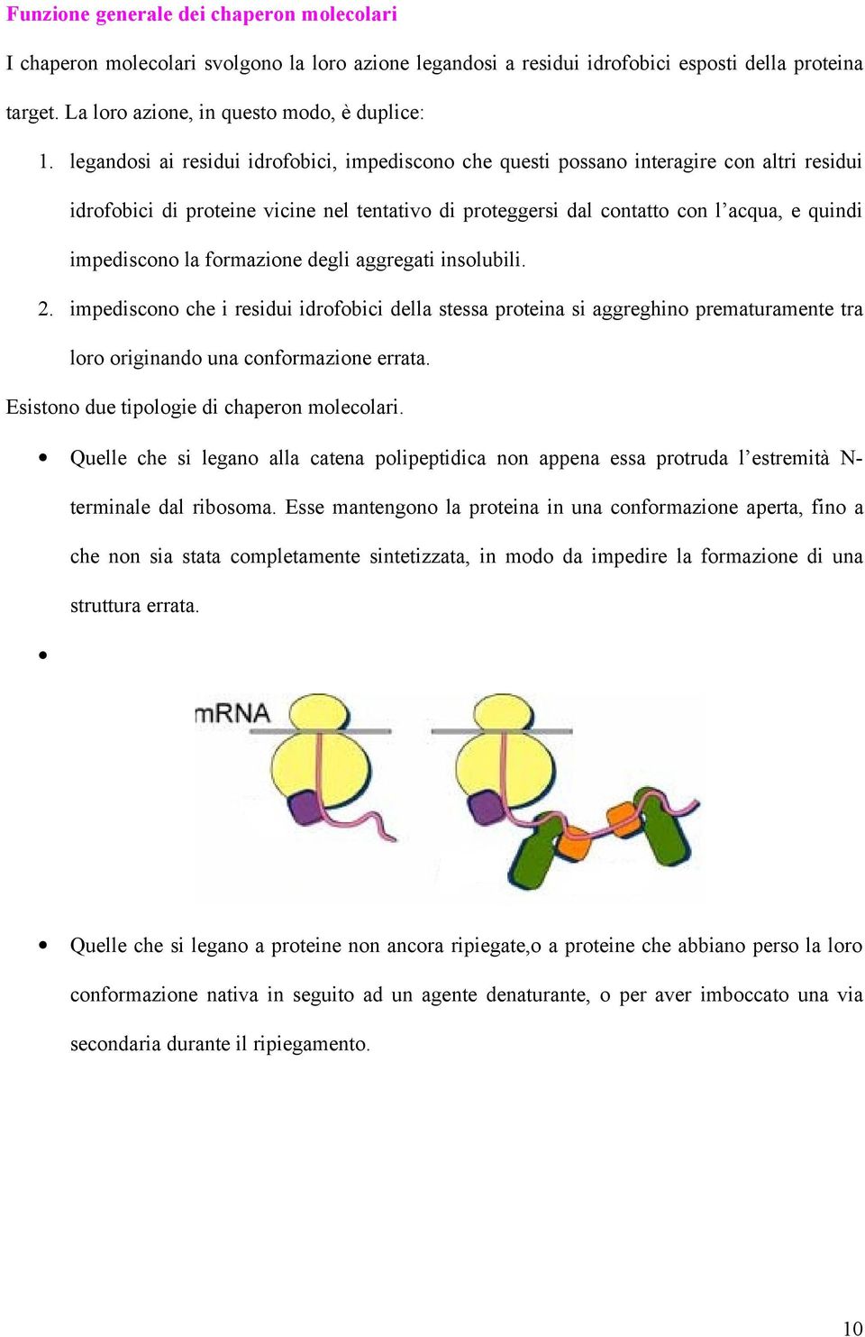 la formazione degli aggregati insolubili. 2. impediscono che i residui idrofobici della stessa proteina si aggreghino prematuramente tra loro originando una conformazione errata.