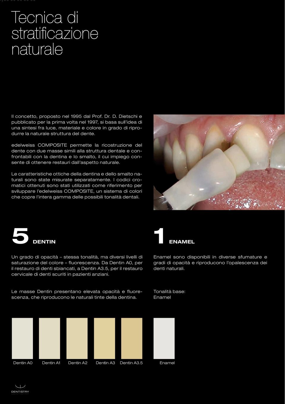 edelweiss COMPOSITE permette la ricostruzione del dente con due masse simili alla struttura dentale e confrontabili con la dentina e lo smalto, il cui impiego consente di ottenere restauri dall
