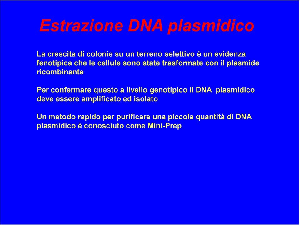 confermare questo a livello genotipico il DNA plasmidico deve essere amplificato ed