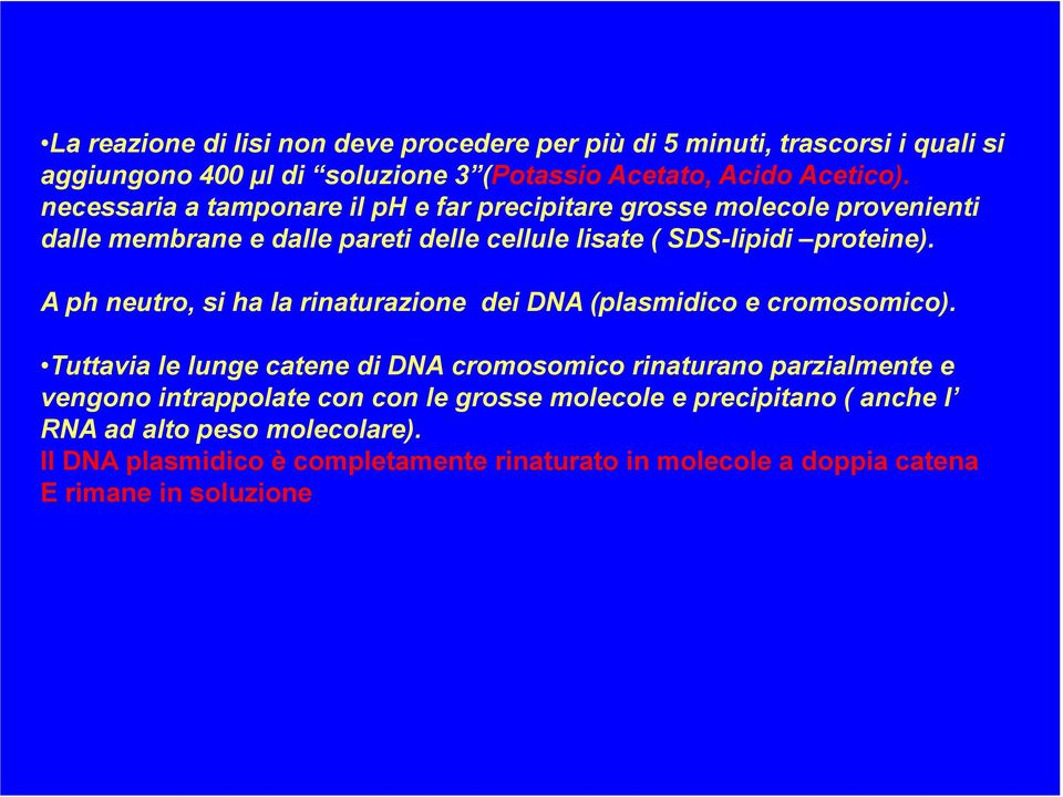 A ph neutro, si ha la rinaturazione dei DNA (plasmidico e cromosomico).