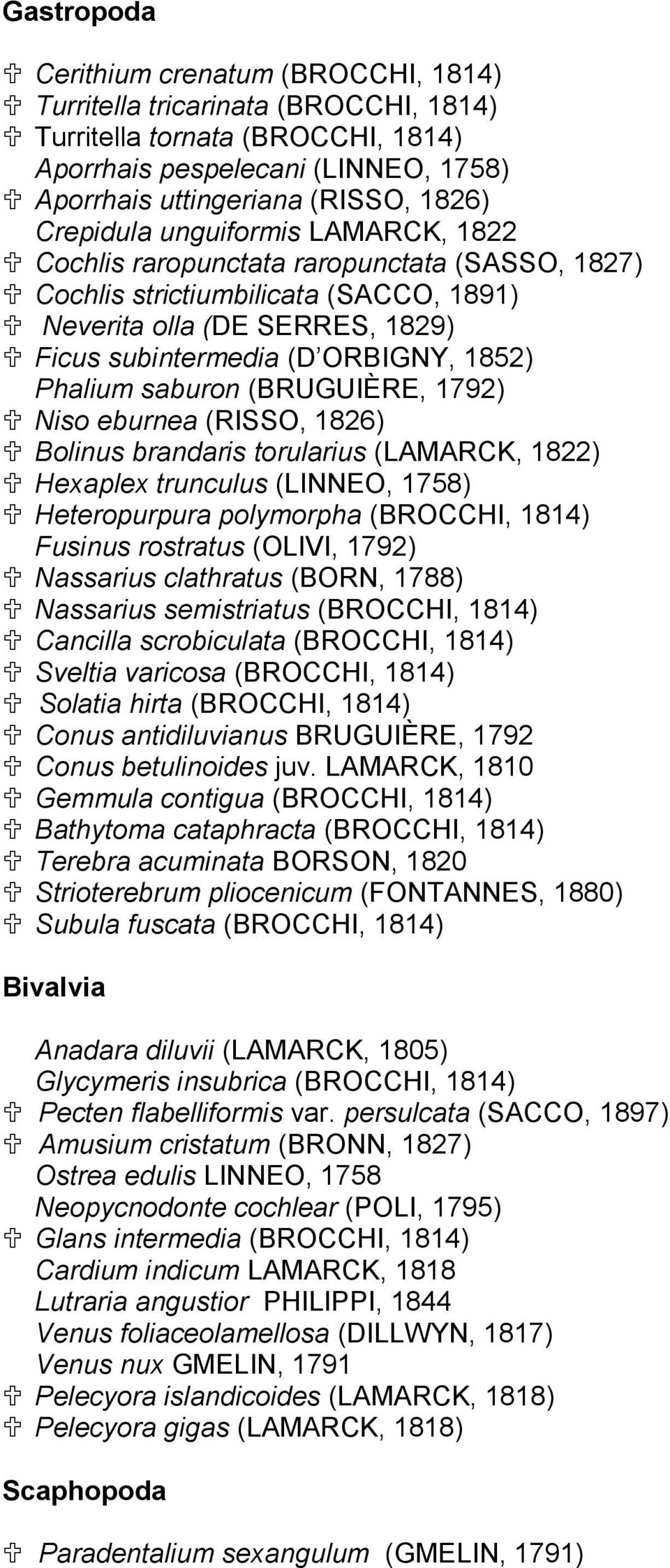 Phalium saburon (BRUGUIÈRE, 1792) Niso eburnea (RISSO, 1826) Bolinus brandaris torularius (LAMARCK, 1822) Hexaplex trunculus (LINNEO, 1758) Heteropurpura polymorpha (BROCCHI, 1814) Fusinus rostratus