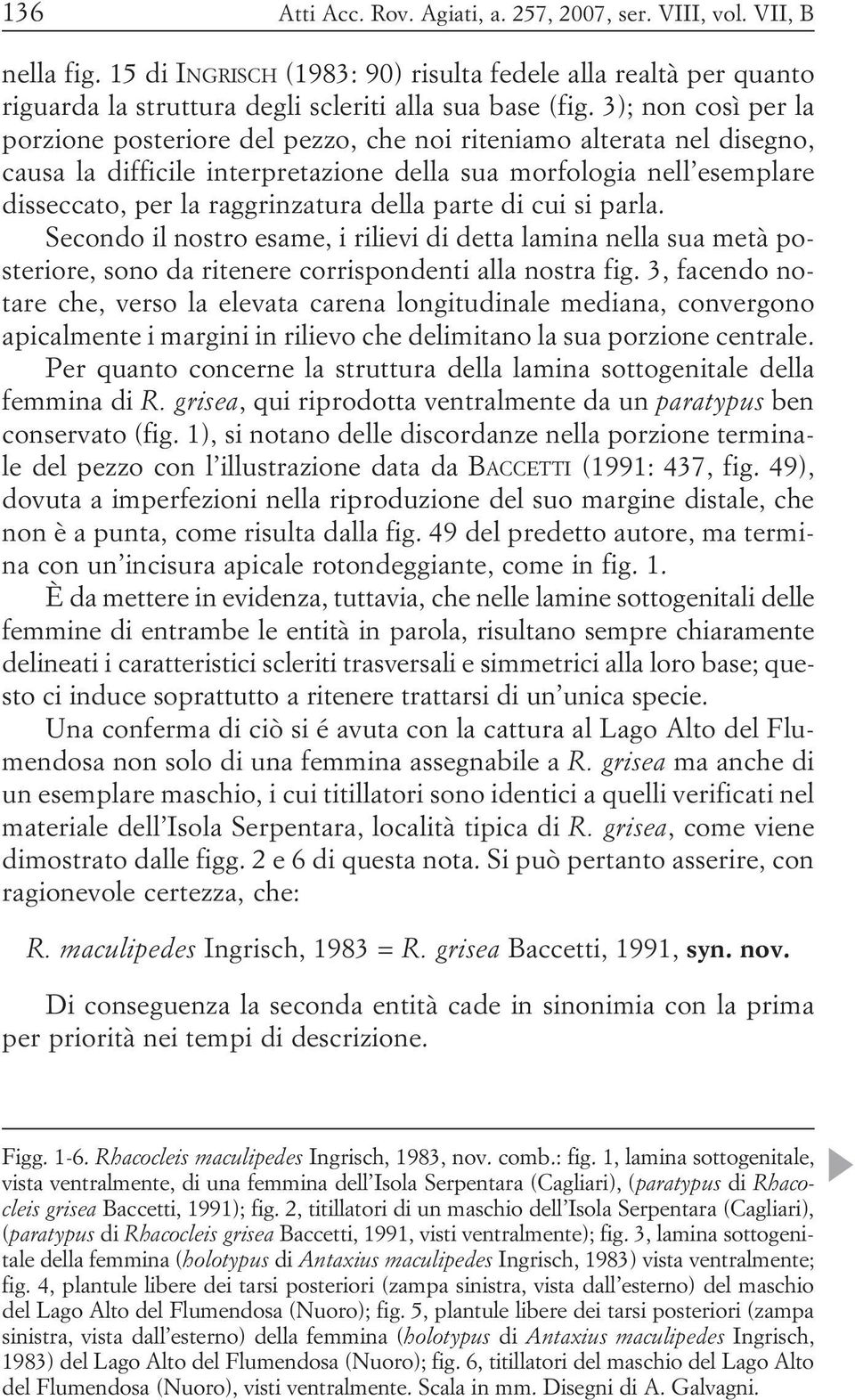 della parte di cui si parla. Secondo il nostro esame, i rilievi di detta lamina nella sua metà posteriore, sono da ritenere corrispondenti alla nostra fig.