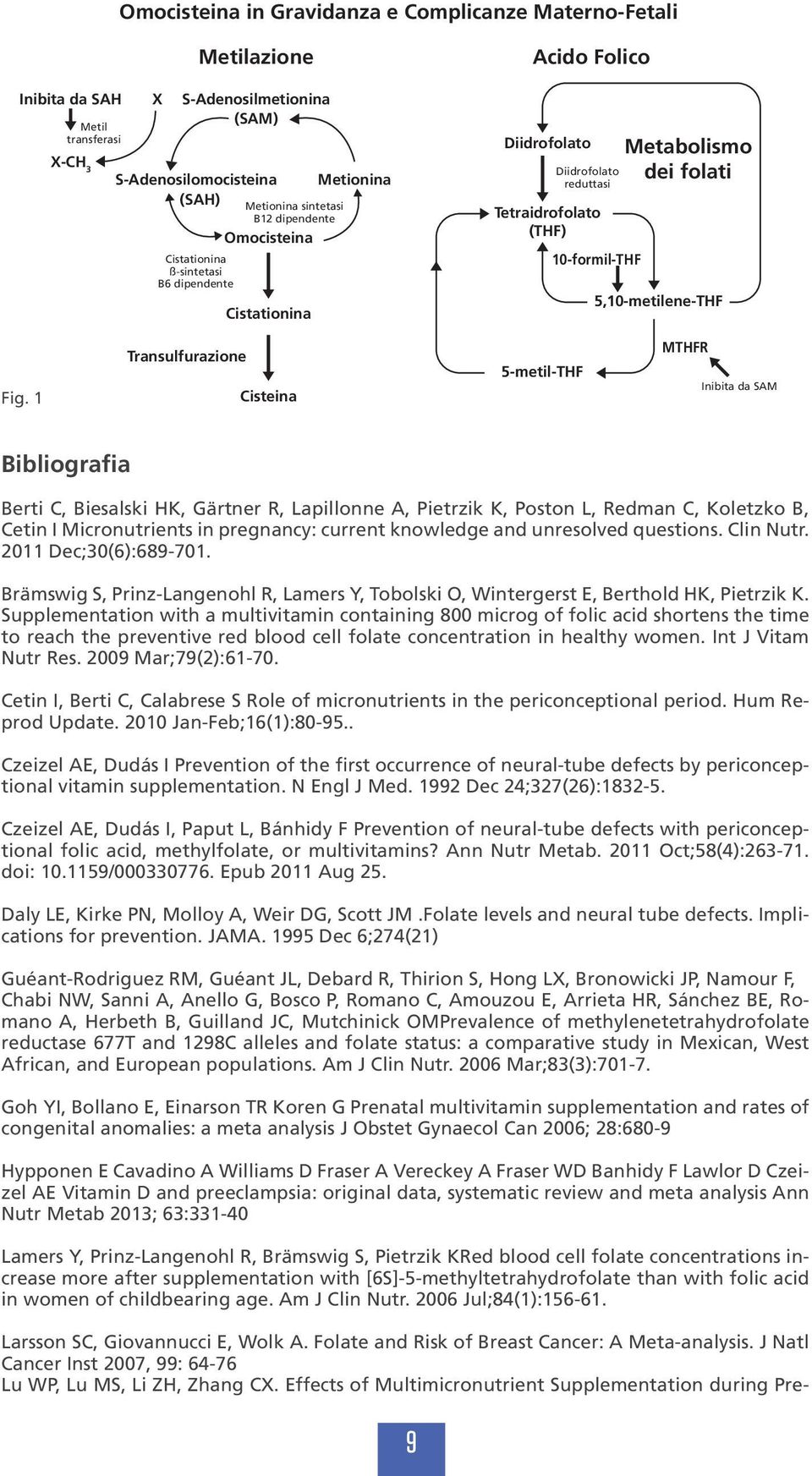 5,10-metilene-THF Fig.