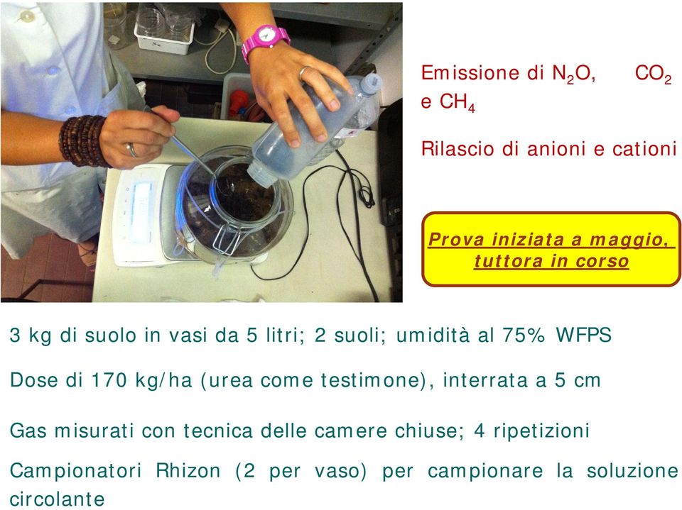 170 kg/ha (urea come testimone), interrata a 5 cm Gas misurati con tecnica delle camere