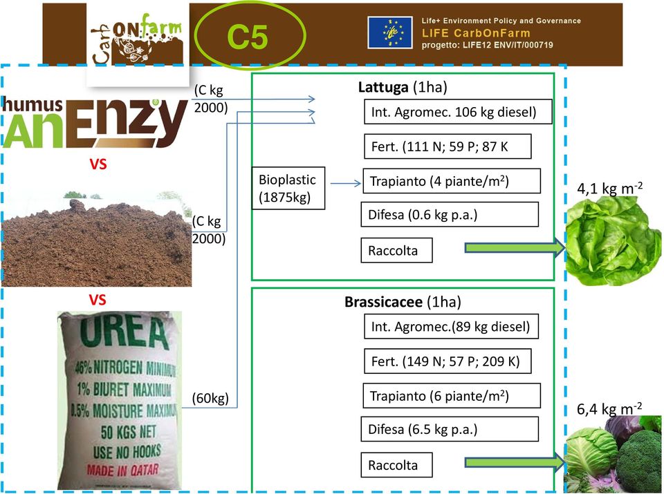 (111 N; 59 P; 87 K Trapianto (4 piante/m 2 ) Difesa (0.6 kg p.a.) Raccolta 4,1 kg m 2 VS Brassicacee (1ha) Int.