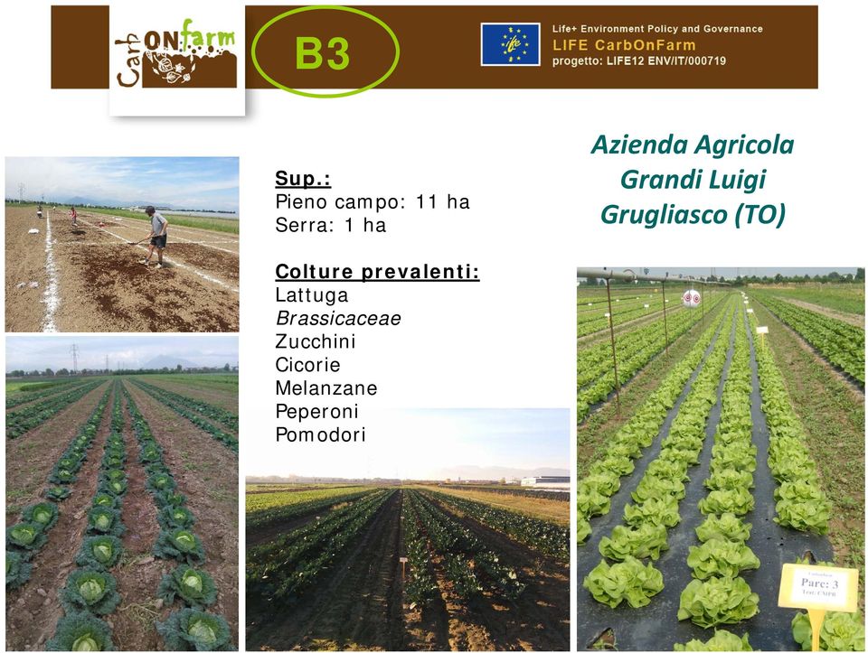 Agricola Grandi Luigi Grugliasco (TO)