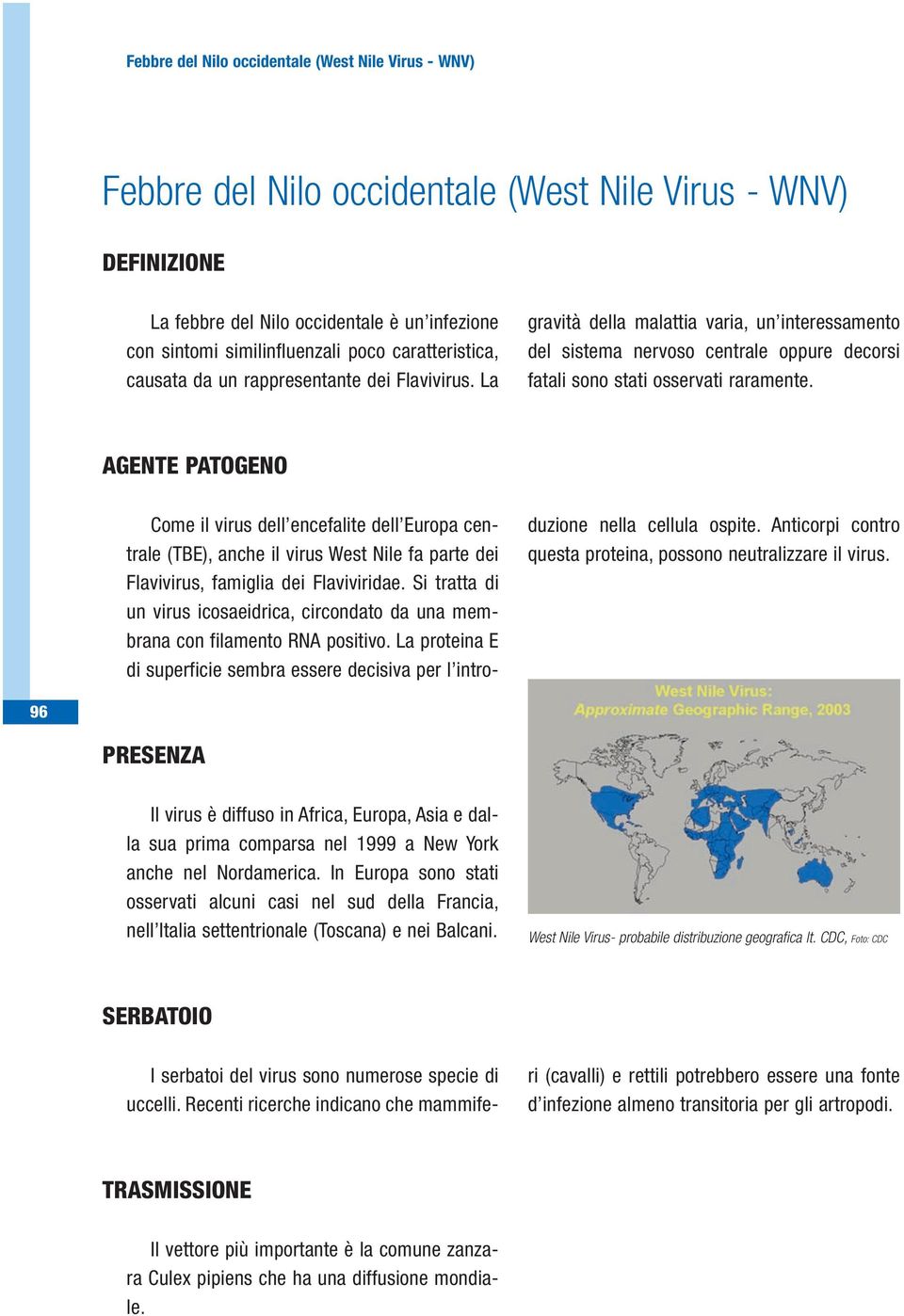 AGENTE PATOGENO Come il virus dell encefalite dell Europa centrale (TBE), anche il virus West Nile fa parte dei Flavivirus, famiglia dei Flaviviridae.