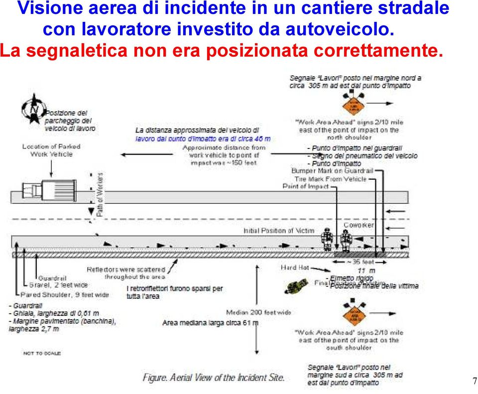 investito da autoveicolo.