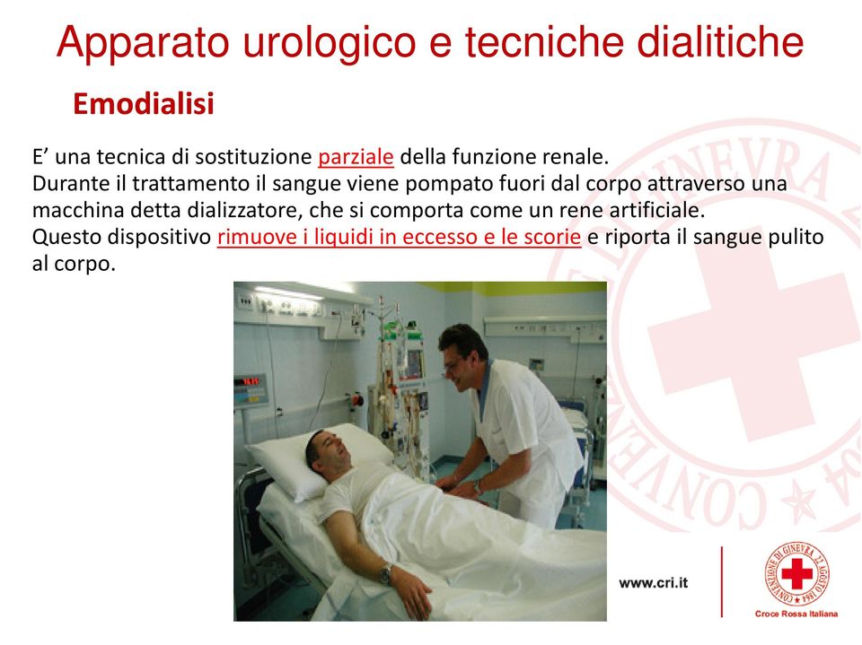 Durante il trattamento il sangue viene pompato fuori dal corpo attraverso una macchina