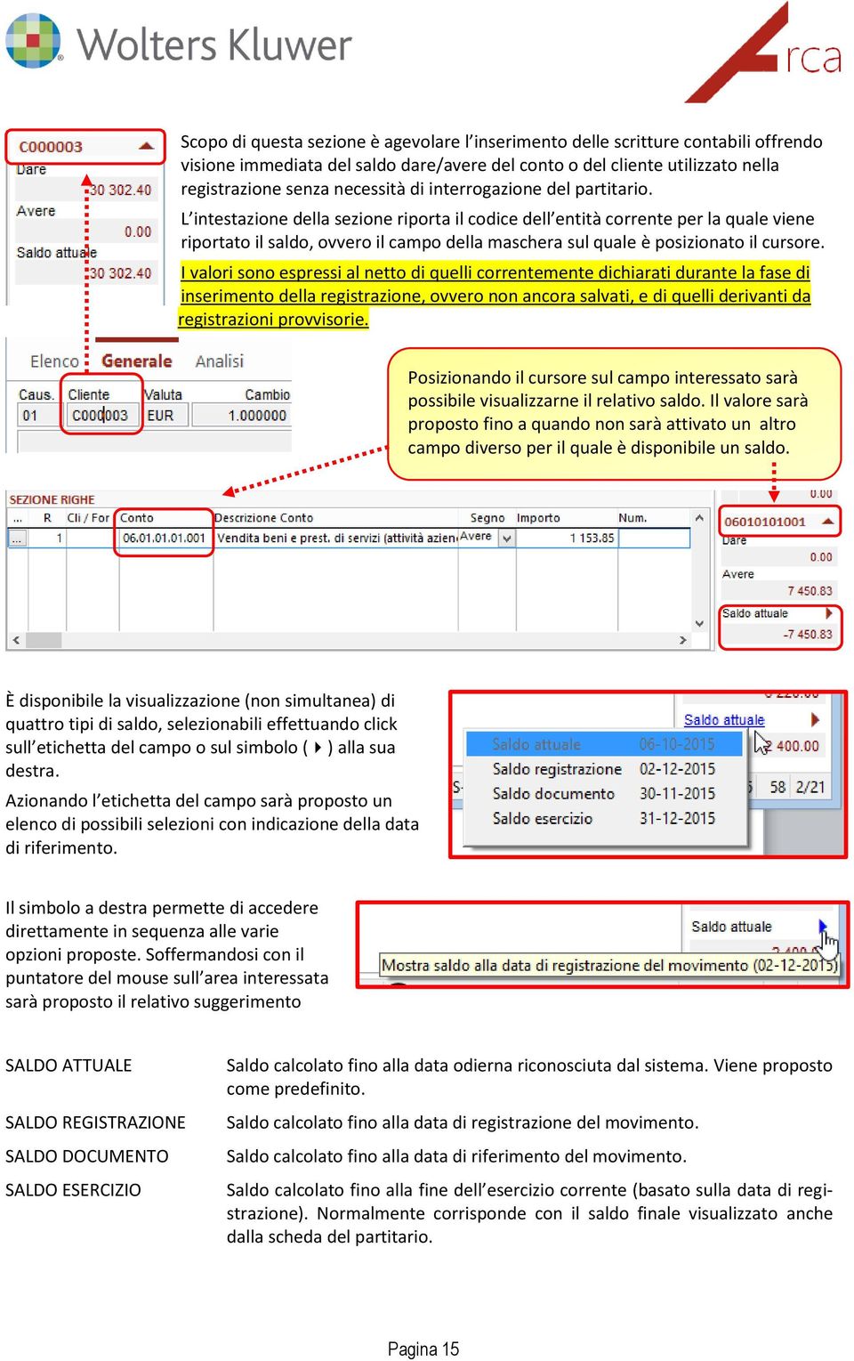 L intestazione della sezione riporta il codice dell entità corrente per la quale viene riportato il saldo, ovvero il campo della maschera sul quale è posizionato il cursore.