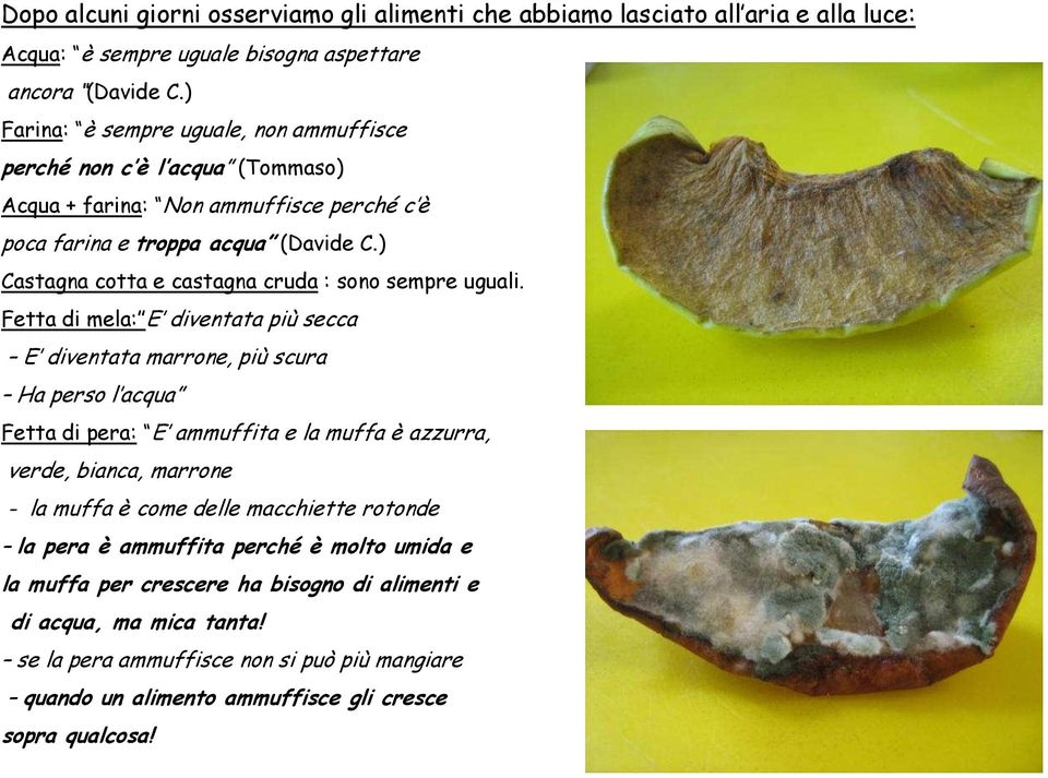 ) Castagna cotta e castagna cruda : sono sempre uguali.