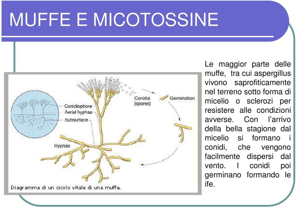 condizioni avverse.