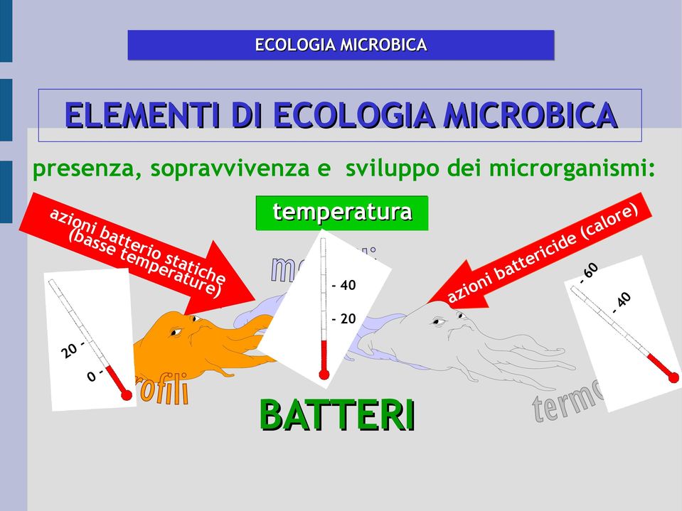 20 20 0- BATTERI 0 o azi a ( -4-40 b ni e d i c ri e t t e) r o ca