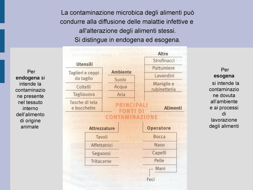 Per endogena si intende la contaminazio ne presente nel tessuto interno dell alimento di origine