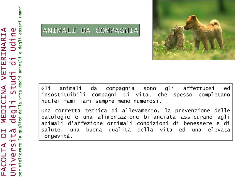 Una corretta tecnica di allevamento, la prevenzione delle patologie e una alimentazione bilanciata assicurano agli animali d affezione