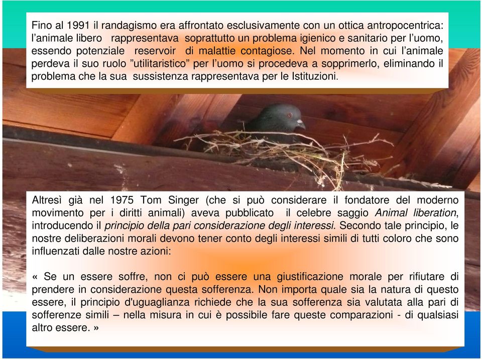 Nel momento in cui l animale perdeva il suo ruolo utilitaristico per l uomo si procedeva a sopprimerlo, eliminando il problema che la sua sussistenza rappresentava per le Istituzioni.