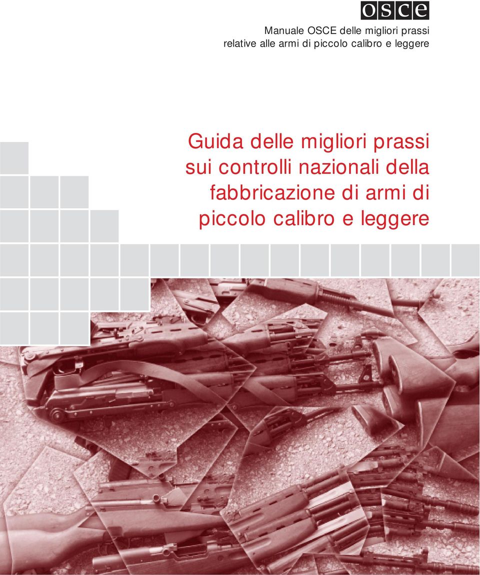 delle migliori prassi sui controlli nazionali