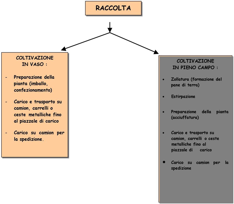 (formazione del pane di terra) Estirpazione Preparazione della pianta (acciuffatura) - Carico su camion per la