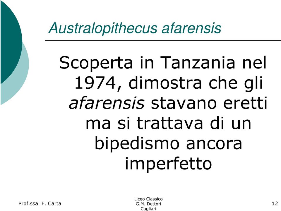 gli afarensis stavano eretti ma si