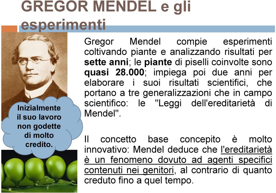 000; impiega poi due anni per elaborare i suoi risultati scientifici, che portano a tre generalizzazioni che in campo scientifico: le "Leggi