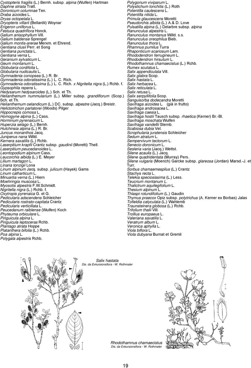 et Song Gentiana punctata L. Gentiana verna L. Geranium sylvaticum L. Geum montanum L. Globularia cordifolia L. Globularia nudicaulis L. Gymnadenia conopsea (L.) R. Br. Gymnadenia odoratissima (L.) L.