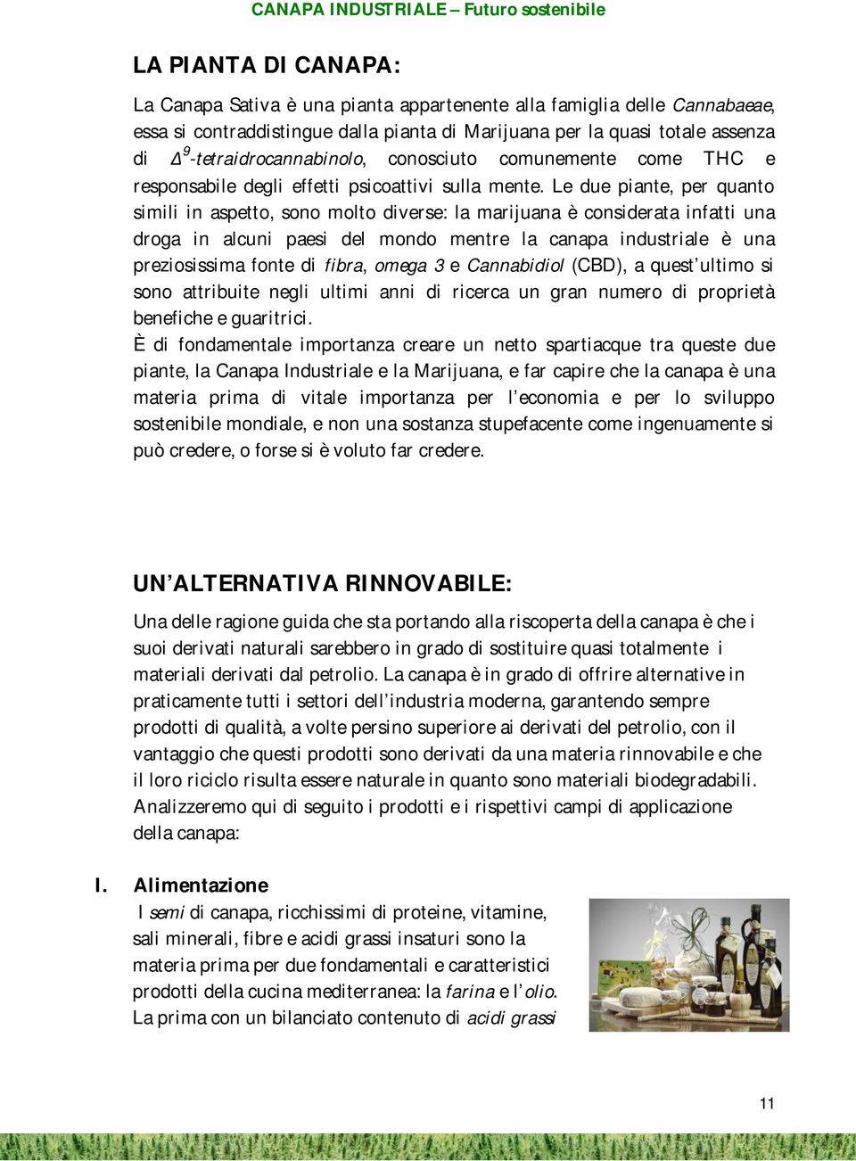 Le due piante, per quanto simili in aspetto, sono molto diverse: la marijuana è considerata infatti una droga in alcuni paesi del mondo mentre la canapa industriale è una preziosissima fonte di