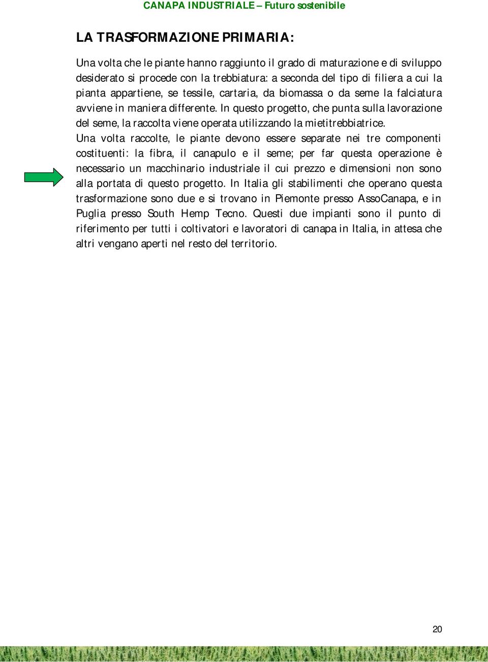 In questo progetto, che punta sulla lavorazione del seme, la raccolta viene operata utilizzando la mietitrebbiatrice.