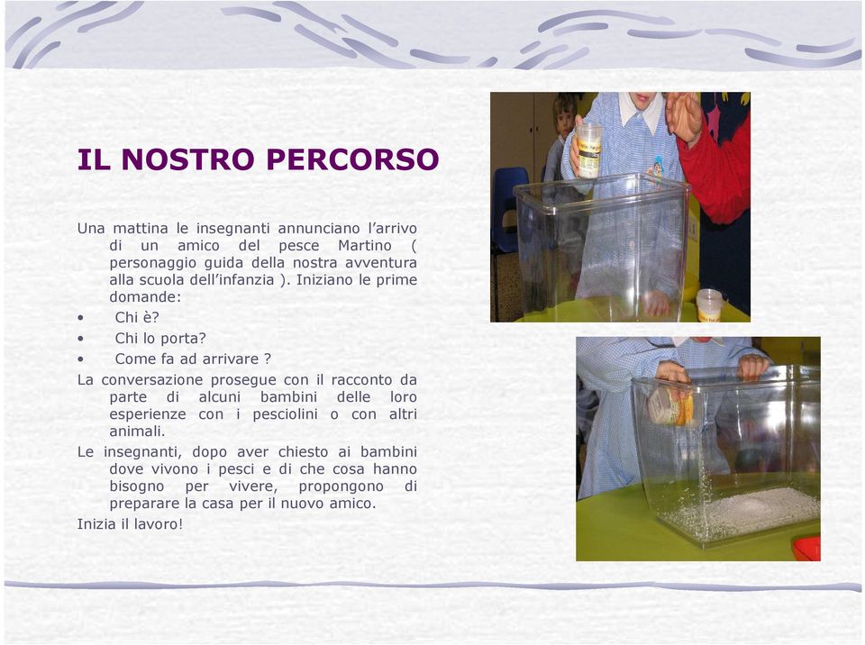 La conversazione prosegue con il racconto da parte di alcuni bambini delle loro esperienze con i pesciolini o con altri animali.