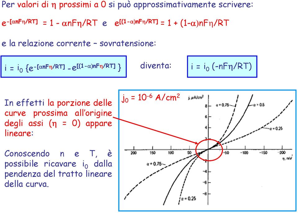 = i 0 (-nf /RT) In effetti la porzione delle curve prossima all origine degli assi ( = 0) appare lineare: