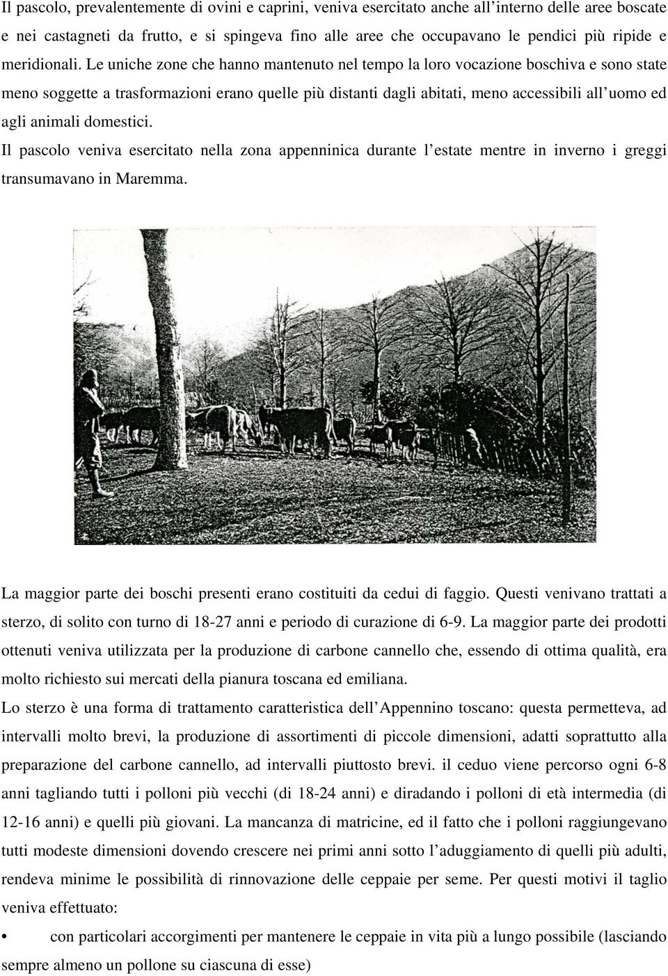 Le uniche zone che hanno mantenuto nel tempo la loro vocazione boschiva e sono state meno soggette a trasformazioni erano quelle più distanti dagli abitati, meno accessibili all uomo ed agli animali