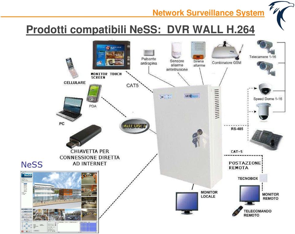 NeSS: DVR