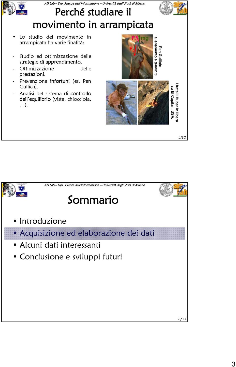 - Analisi del sistema di controllo dell equilibrio (vista, chiocciola, ). F 1 F 2 mg Pan Gullich: allenamento e tendiniti.