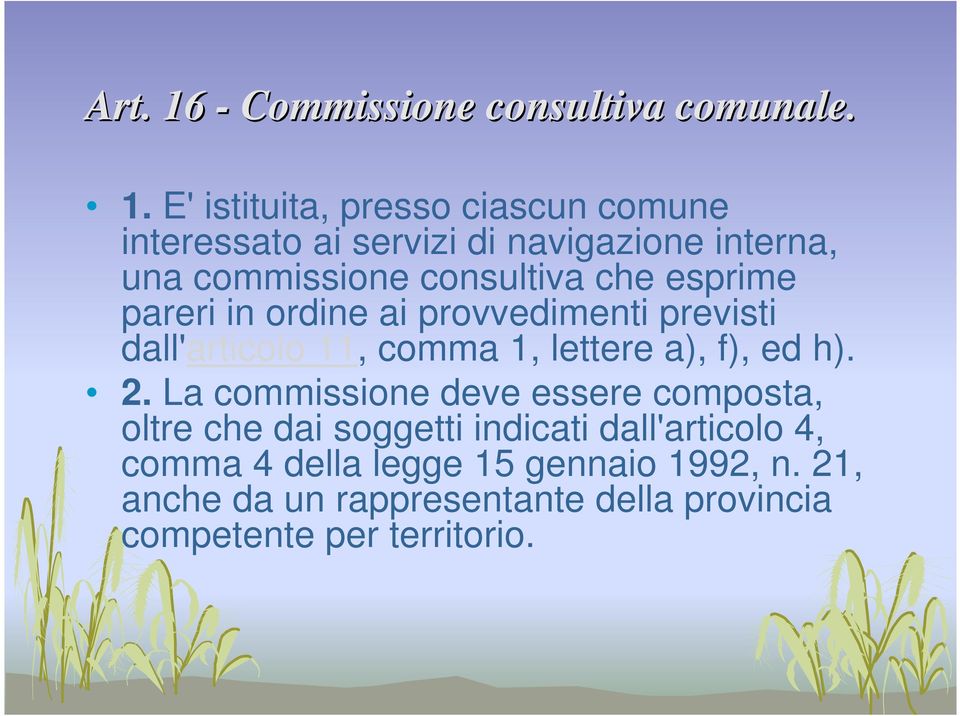 E' istituita, presso ciascun comune interessato ai servizi di navigazione interna, una commissione consultiva che