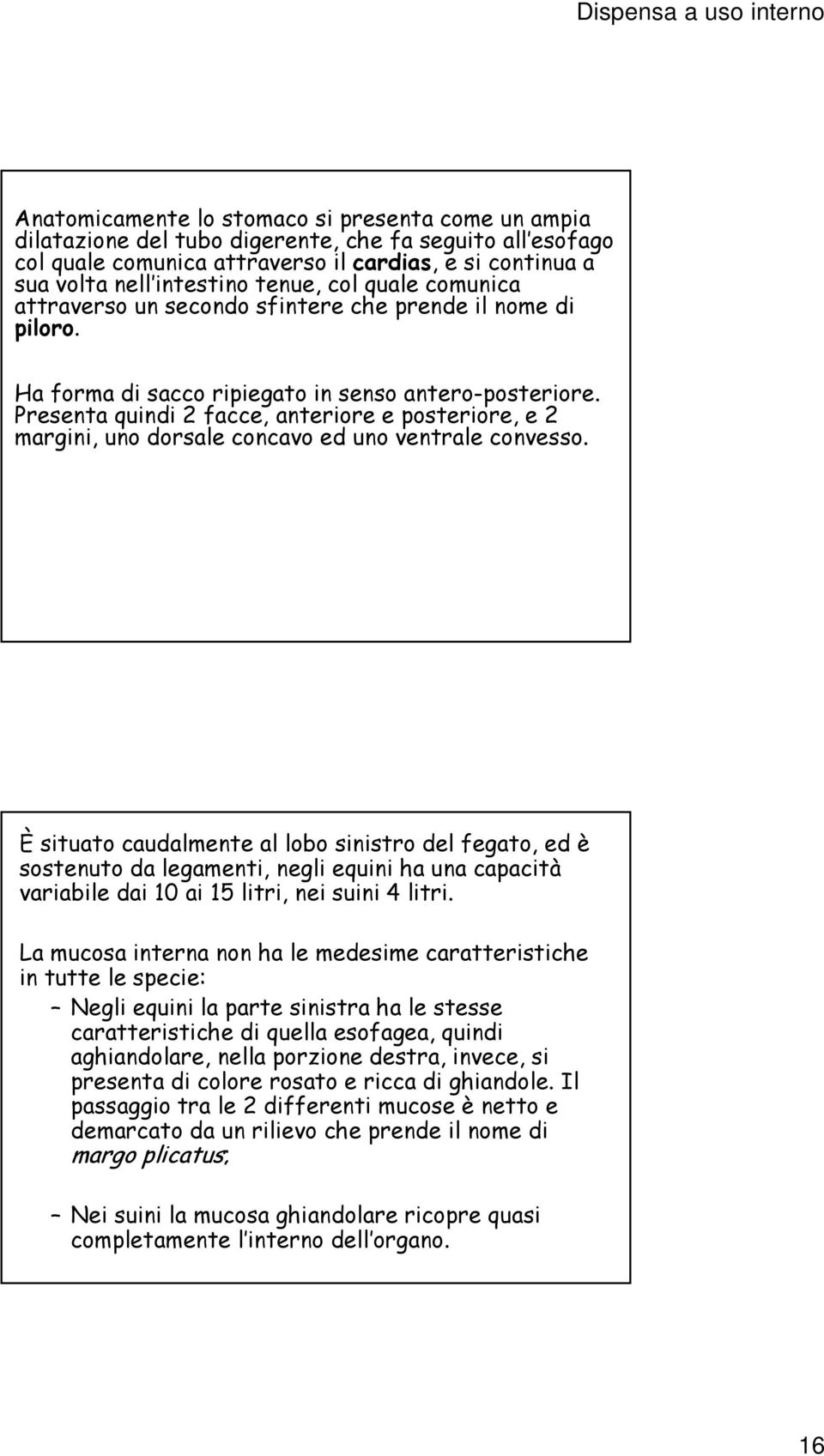 Presenta quindi 2 facce, anteriore e posteriore, e 2 margini, uno dorsale concavo ed uno ventrale convesso.