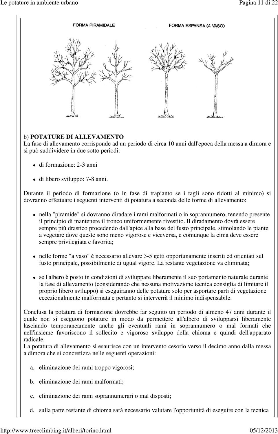 Durante il periodo di formazione (o in fase di trapianto se i tagli sono ridotti al minimo) si dovranno effettuare i seguenti interventi di potatura a seconda delle forme di allevamento: nella