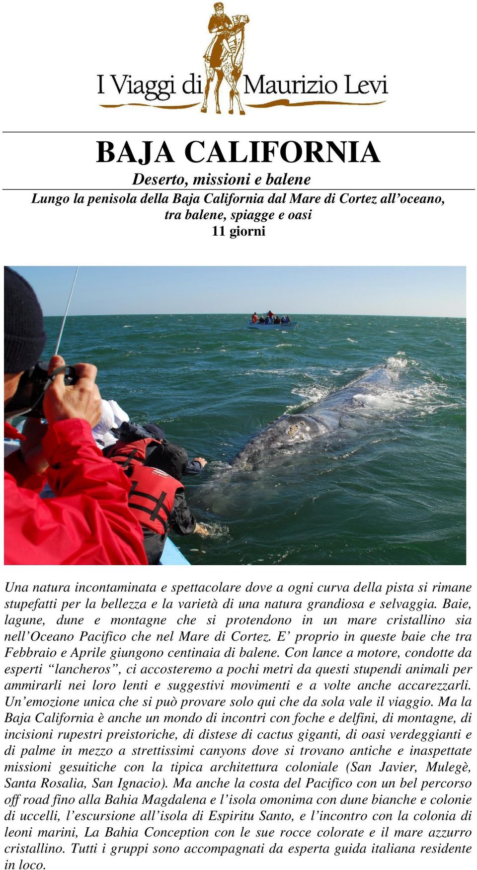 Baie, lagune, dune e montagne che si protendono in un mare cristallino sia nell Oceano Pacifico che nel Mare di Cortez. E proprio in queste baie che tra Febbraio e Aprile giungono centinaia di balene.