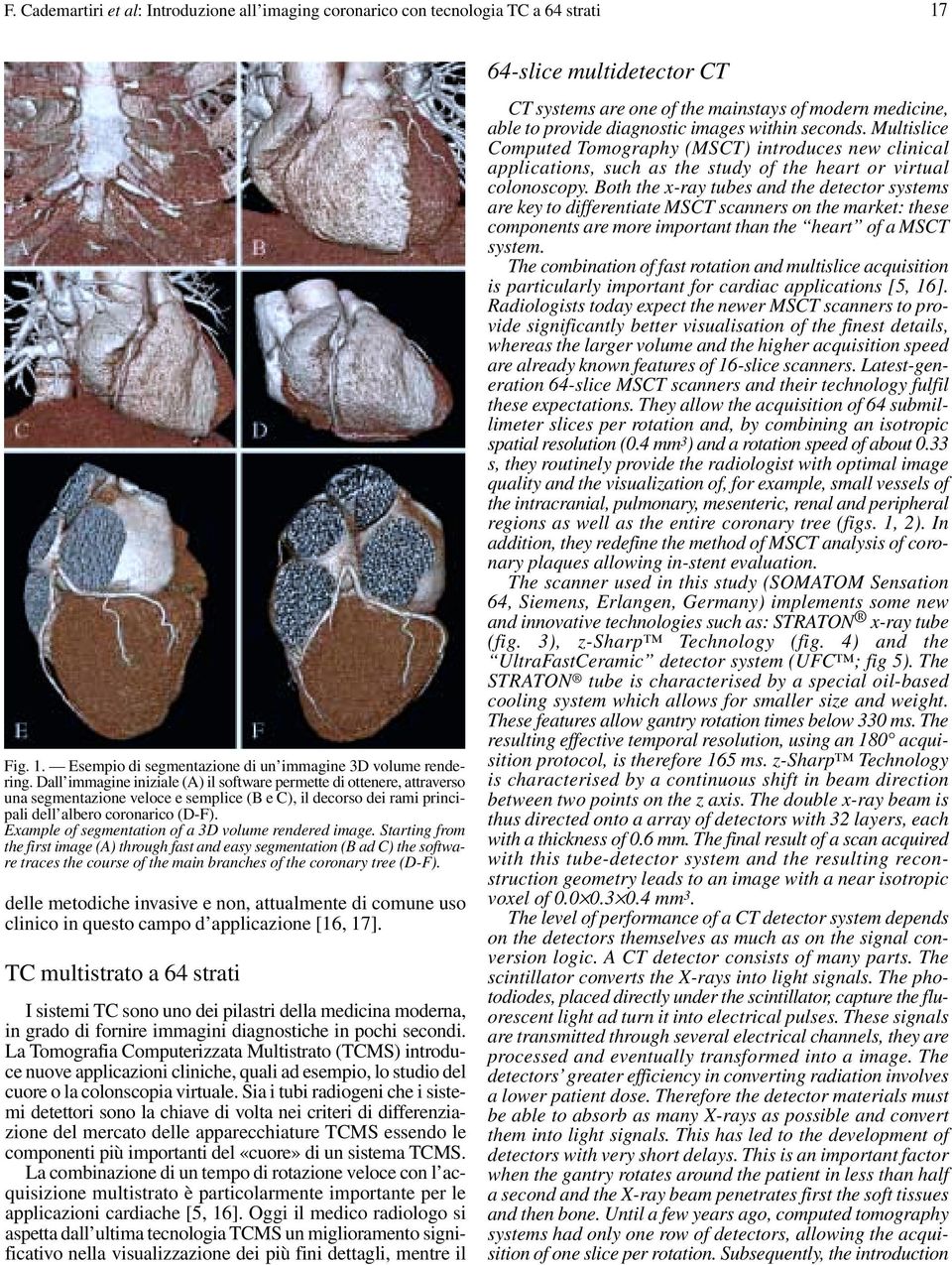 Example of segmentation of a 3D volume rendered image.