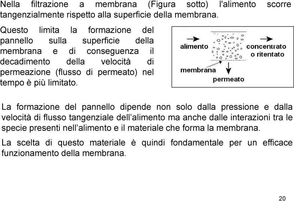 permeato) nel tempo è più limitato.