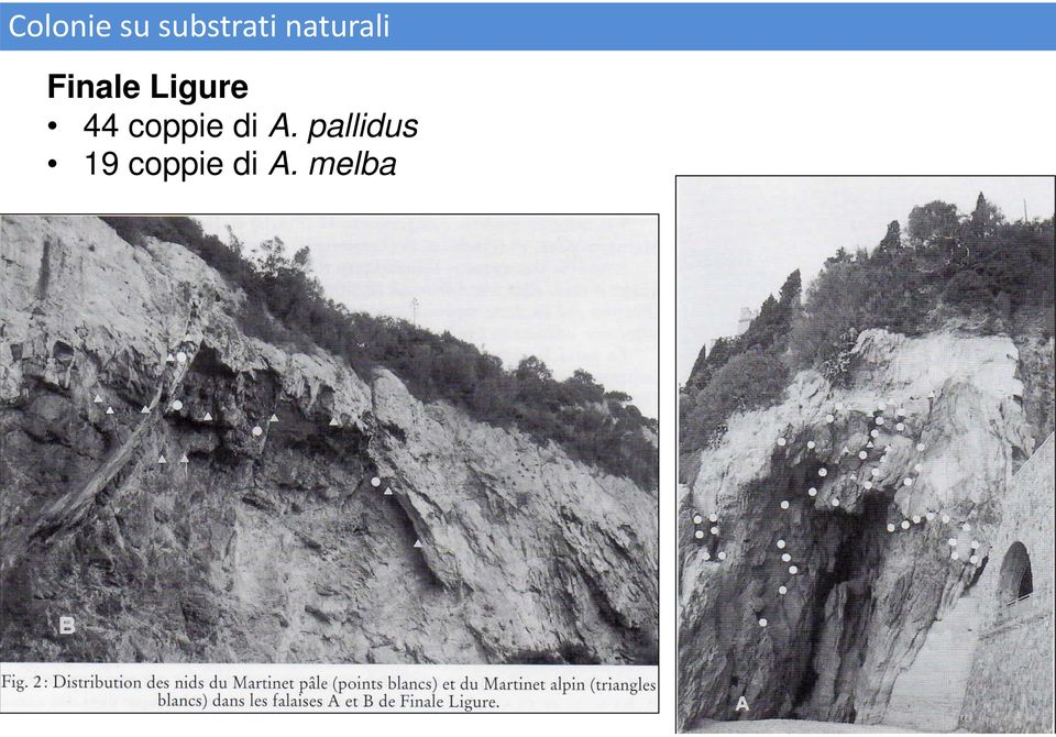 Finale Ligure 44 coppie