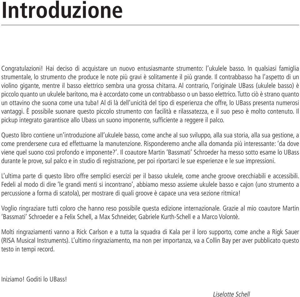 Il contrabbasso ha l aspetto di un violino gigante, mentre il basso elettrico sembra una grossa chitarra.