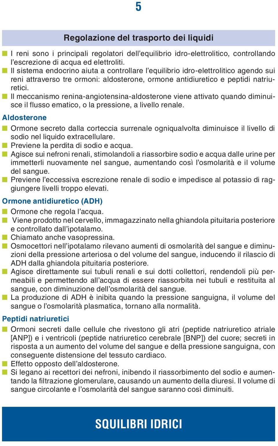 Il meccanismo renina-angiotensina-aldosterone viene attivato quando diminuisce il flusso ematico, o la pressione, a livello renale.