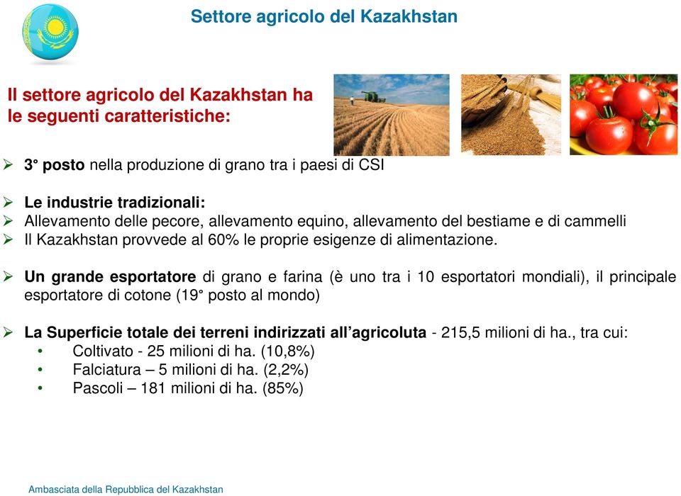 Un grande esportatore di grano e farina (è uno tra i 10 esportatori mondiali), il principale esportatore di cotone (19 posto al mondo) La Superficie totale dei terreni