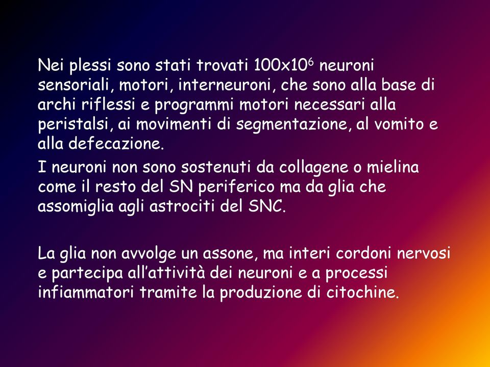 I neuroni non sono sostenuti da collagene o mielina come il resto del SN periferico ma da glia che assomiglia agli astrociti del