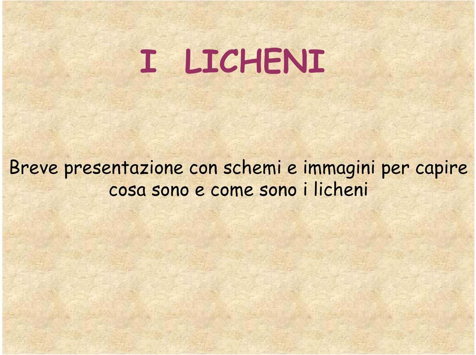 schemi e immagini per