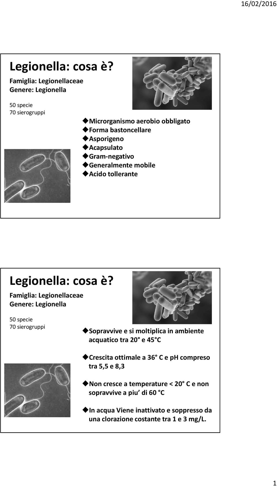 Acapsulato Gram-negativo Generalmente mobile Acido tollerante  Famiglia: Legionellaceae Genere: Legionella 50 specie 70 sierogruppi