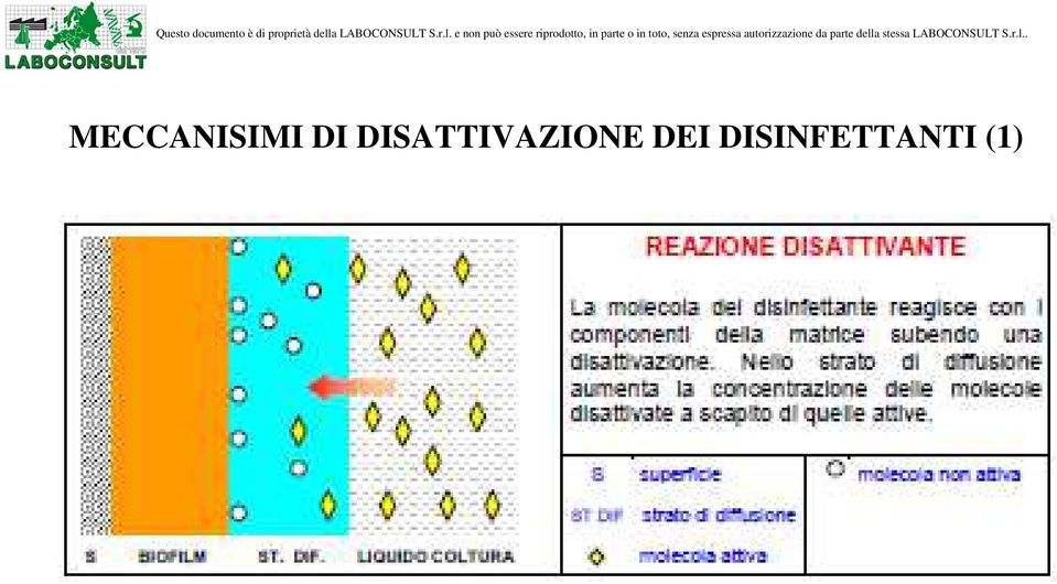 SATTIVAZIONE