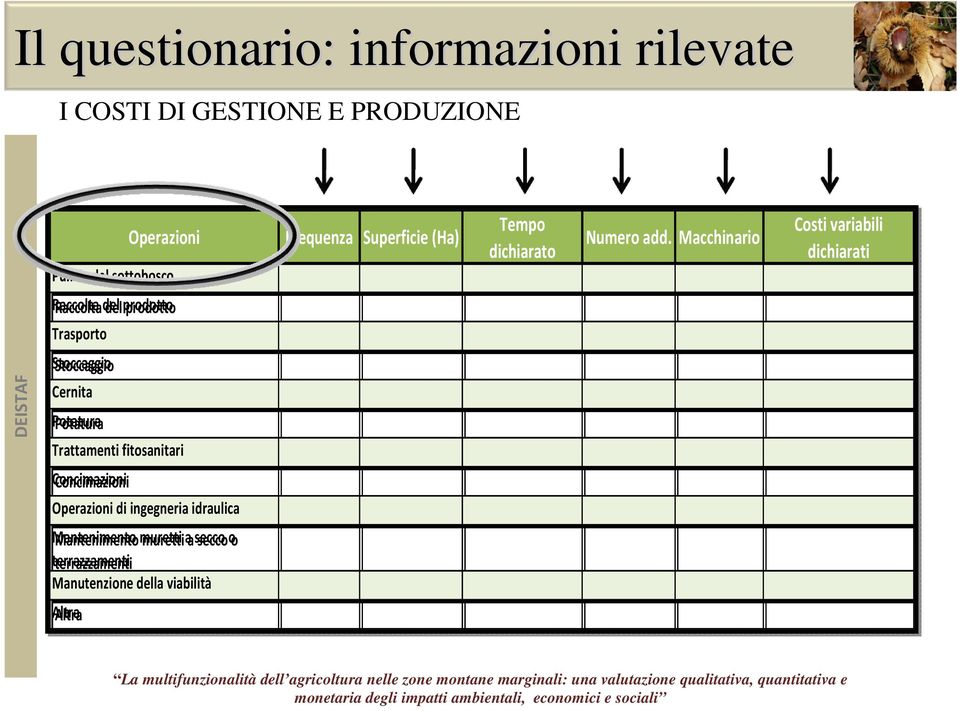 Concimazioni Operazioni di ingegneria idraulica Mantenimento muretti a secco o terrazzamenti