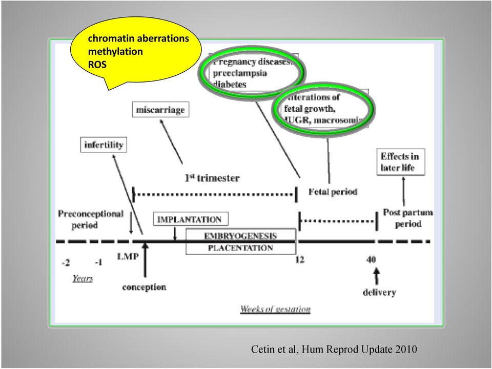 methylation ROS