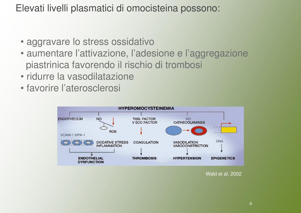 aggregazione piastrinica favorendo il rischio di trombosi